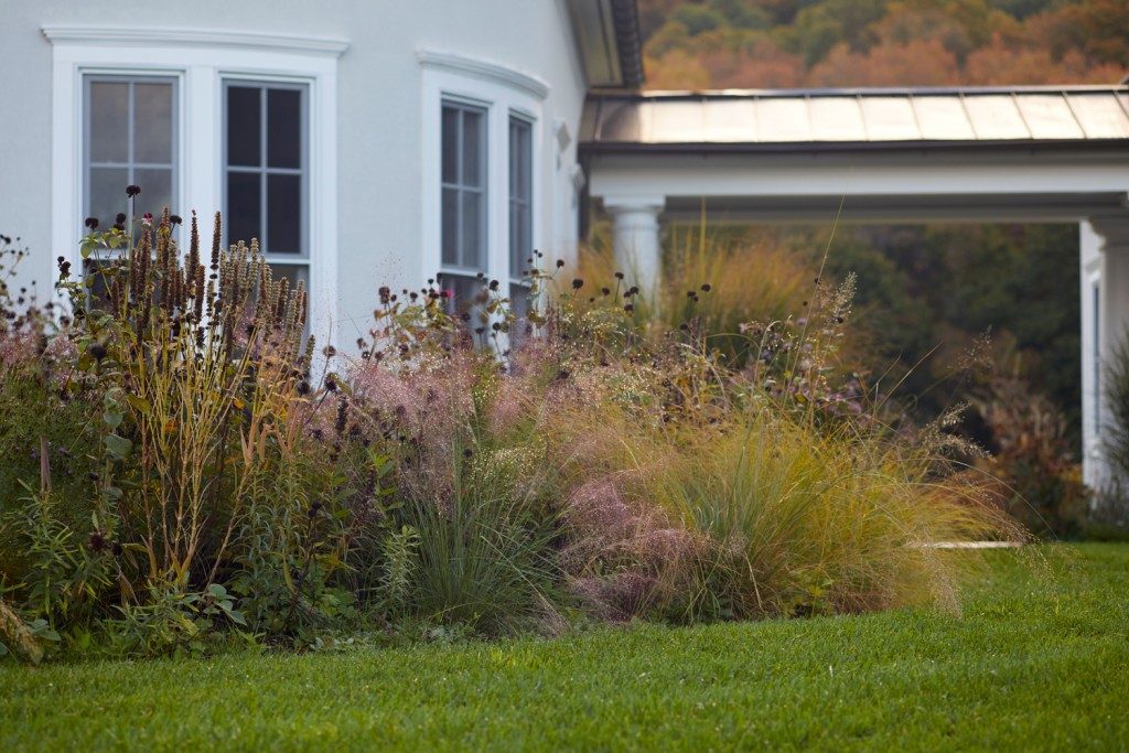 The Figure Ground Studio Architecture Landscape Sustainability Garrison Pollinator Garden 7 5 1024x683 