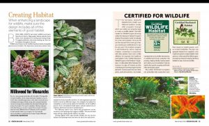 PDX Backyard Habitat in Green Builder magazine