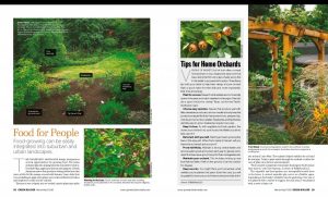 The Figure Ground Studio Architecture Landscape Sustainability PDX Backyard Habitat featured in Green Builder Magazine Green Builder March April 2016 Issue Page 9 300x181 