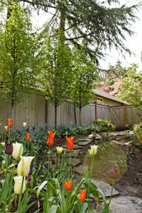 The Figure Ground Studio Architecture Landscape Sustainability Northwest Residence Planting Plan IMG 0679 DxO 200x300 