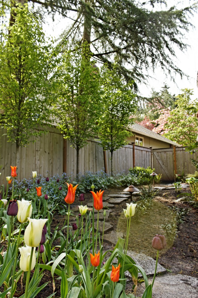 The Figure Ground Studio Architecture Landscape Sustainability Northwest Residence Planting Plan IMG 0679 DxO 
