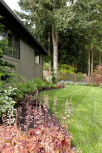 The Figure Ground Studio Architecture Landscape Sustainability Northwest Residence Planting Plan IMG 0681 DxO 200x300 