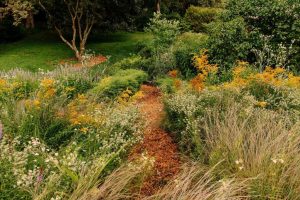 The Figure Ground Studio Architecture Landscape Sustainability JJM58344 JJM58344 300x200 