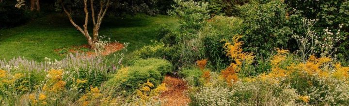 Reimagining Certainty :: Practicing Work That Reconnects with Song & Somatics