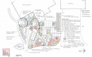 The Figure Ground Studio Architecture Landscape Sustainability Northwest Portland Planting Plan Northwest Portland Planting Plan 300x185 