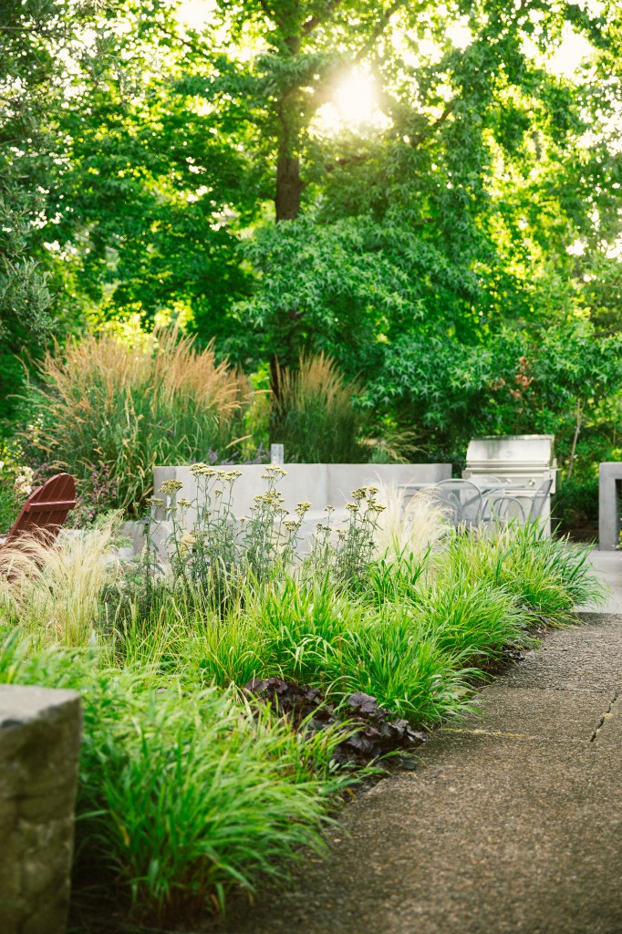The Figure Ground Studio Architecture Landscape Sustainability Lush Contemporary Garden Retreat SWPDX 5 