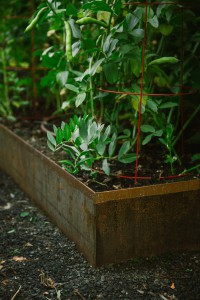 The Figure Ground Studio Architecture Landscape Sustainability Lush Contemporary Garden Retreat SWPDX 7 200x300 