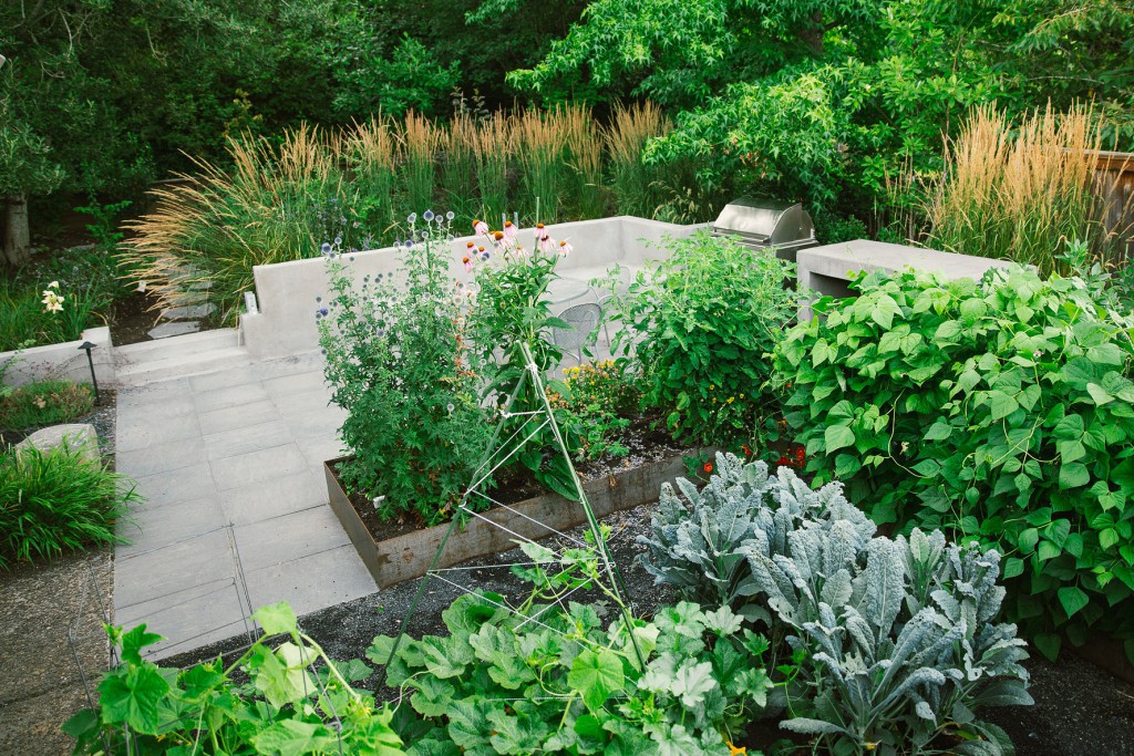 The Figure Ground Studio Architecture Landscape Sustainability Lush Contemporary Garden Retreat SWPDX 9 