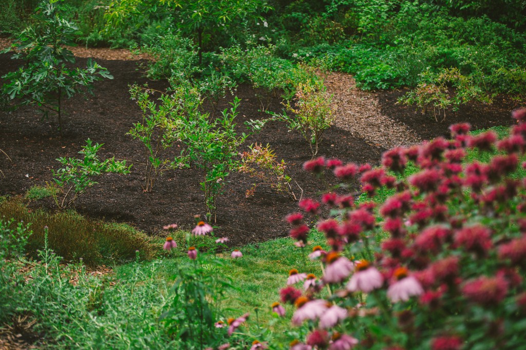 NW Portland Audubon Certified Backyard Habitat * TFGs