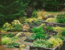 NW Portland Audubon Certified Backyard Habitat