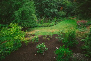 The Figure Ground Studio Architecture Landscape Sustainability NW Portland Audubon Certified Backyard Habitat backyard habitat 4 300x200 