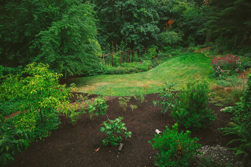 The Figure Ground Studio Architecture Landscape Sustainability NW Portland Audubon Certified Backyard Habitat backyard habitat 4 