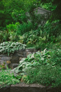 The Figure Ground Studio Architecture Landscape Sustainability NW Portland Audubon Certified Backyard Habitat backyard habitat 9 200x300 