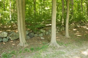 The Figure Ground Studio Architecture Landscape Sustainability brave scout trail   stone wall   summer 2017 brave scout trail stone wall summer 2017 8 300x200 