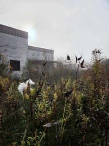 The Figure Ground Studio Architecture Landscape Sustainability dutchess mall 14 dutchess mall 14 224x300 