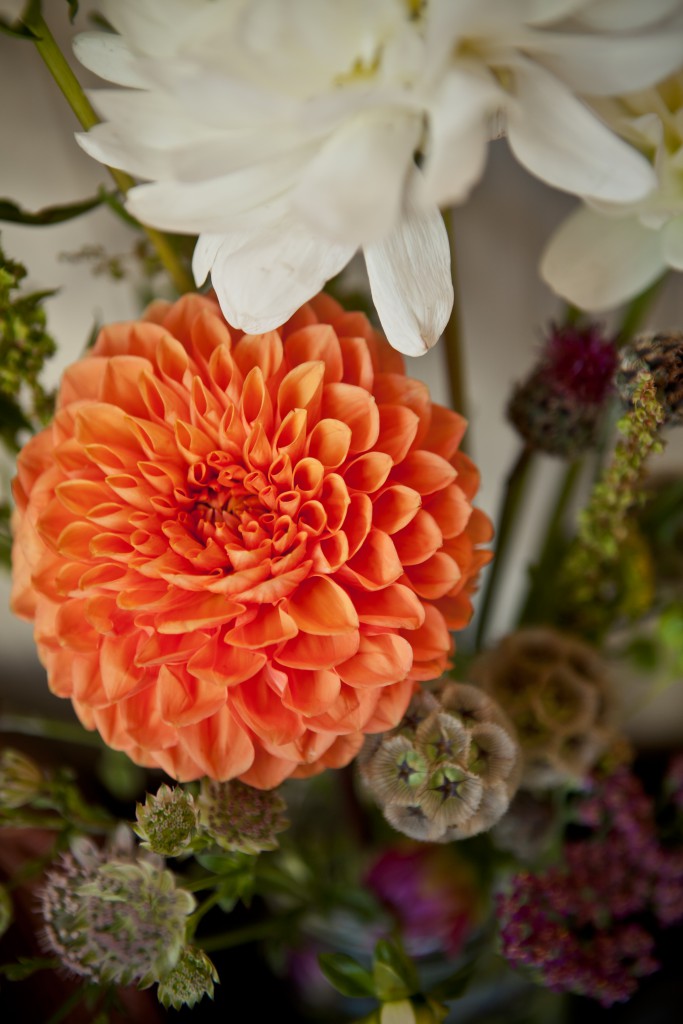 The Figure Ground Studio Architecture Landscape Sustainability Gearhart Wedding Flowers gearhart flowers 1 