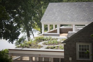 The Figure Ground Studio Architecture Landscape Sustainability Rhode Island Residential Green Roof ministerial green roof03 300x200 
