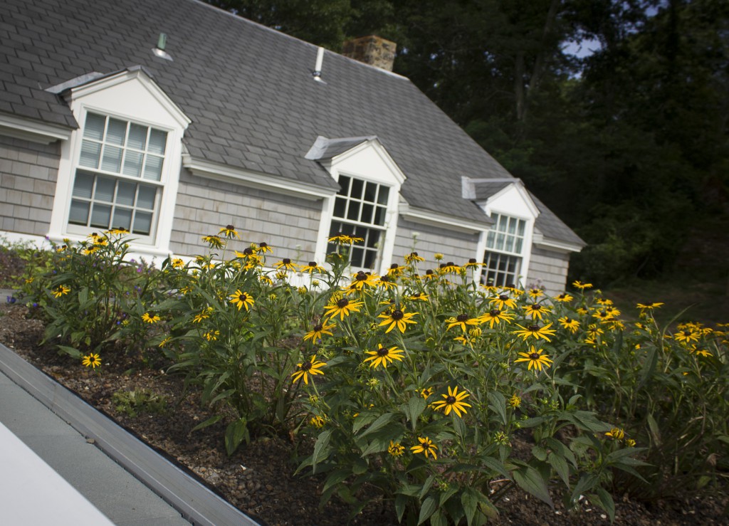 The Figure Ground Studio Architecture Landscape Sustainability Rhode Island Residential Green Roof ministerial green roof05 