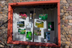 The Figure Ground Studio Architecture Landscape Sustainability pollinator window pollinator window 300x200 