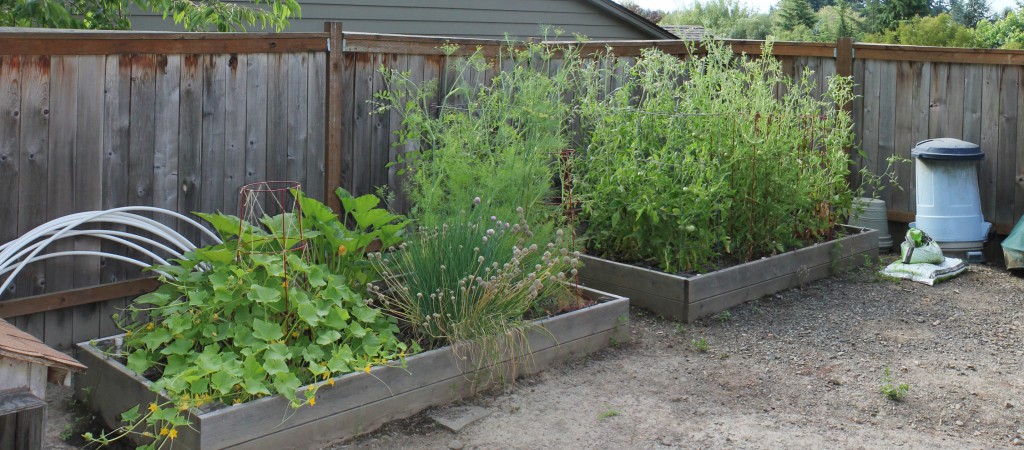 The Figure Ground Studio Architecture Landscape Sustainability Lush Contemporary Garden Retreat sw pdx garden before 