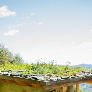 The Figure Ground Studio Architecture Landscape Sustainability Yestermorrow Green Roof Design & Installation ymgr 9 300x300 